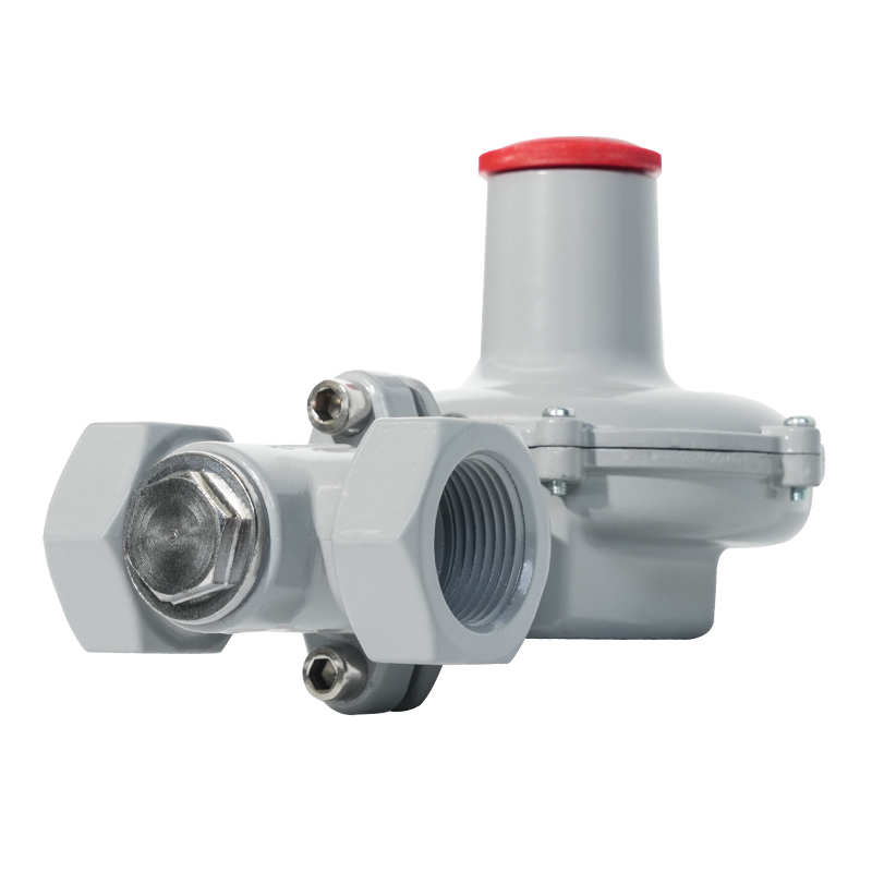 Säkerhetsventil Gaskontrollpump Tillbehör Tryckregulator